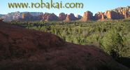 photo thumbnail #7