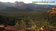 photo thumbnail #3
