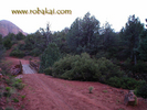 photo thumbnail #7