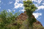photo thumbnail #13