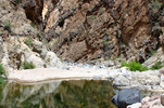 photo thumbnail #15