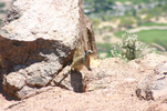 photo thumbnail #7
