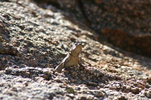 photo thumbnail #14