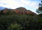 photo thumbnail #12