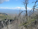 photo thumbnail #2
