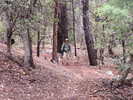 photo thumbnail #9