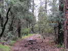 photo thumbnail #10