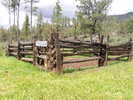 photo thumbnail #12
