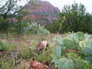 photo thumbnail #1