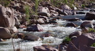 photo thumbnail #14