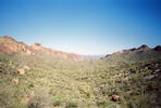 photo thumbnail #3