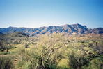photo thumbnail #7