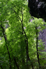 photo thumbnail #15