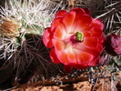 photo thumbnail #13
