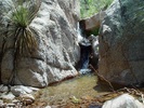 photo thumbnail #8