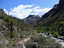 photo thumbnail #1
