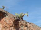 photo thumbnail #14