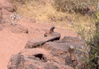 photo thumbnail #7
