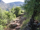photo thumbnail #11