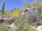 photo thumbnail #3