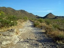 photo thumbnail #2