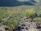 photo thumbnail #9