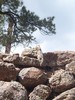 photo thumbnail #4