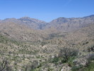 photo thumbnail #1