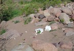 photo thumbnail #3