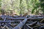 photo thumbnail #14