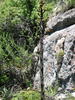 photo thumbnail #14