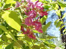 photo thumbnail #1