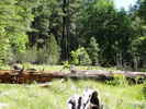 photo thumbnail #2
