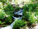 photo thumbnail #11