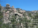 photo thumbnail #2