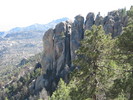 photo thumbnail #5