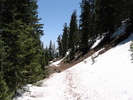 photo thumbnail #3
