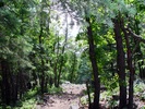 photo thumbnail #10