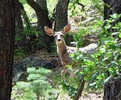 photo thumbnail #14