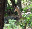photo thumbnail #15