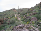 photo thumbnail #2