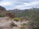 photo thumbnail #4