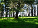 photo thumbnail #14