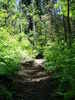photo thumbnail #7