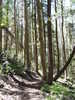 photo thumbnail #12