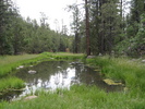 photo thumbnail #5