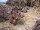 photo thumbnail #6
