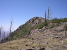 photo thumbnail #15