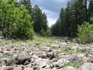 photo thumbnail #12