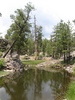 photo thumbnail #13
